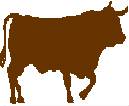 Bull.jpg (28134 bytes)